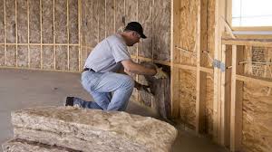 Best Blown-In Insulation  in USA